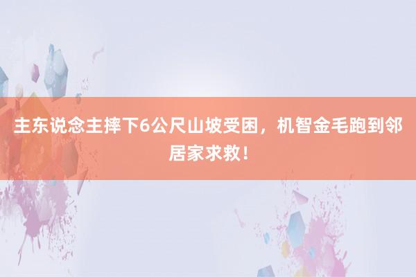 主东说念主摔下6公尺山坡受困，机智金毛跑到邻居家求救！