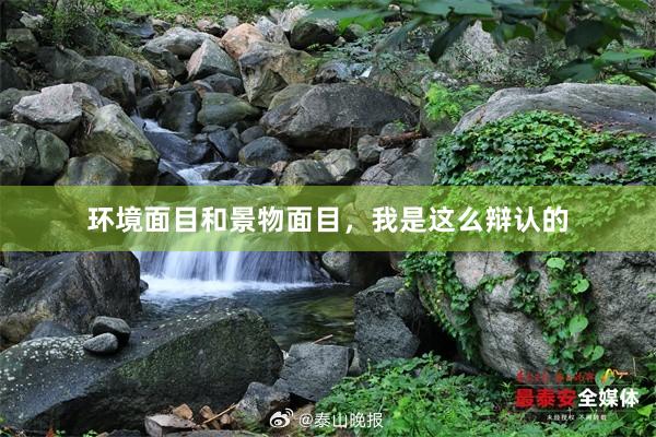 环境面目和景物面目,我是这么辩认的