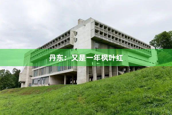 丹东：又是一年枫叶红