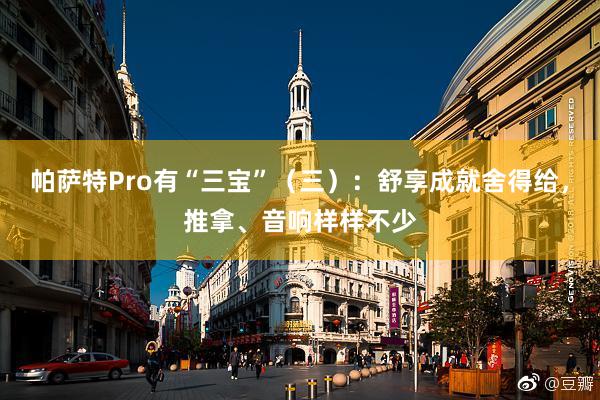 帕萨特Pro有“三宝”（三）：舒享成就舍得给，推拿、音响样样不少