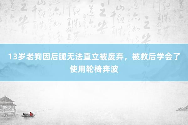 13岁老狗因后腿无法直立被废弃，被救后学会了使用轮椅奔波