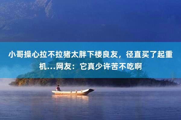 小哥操心拉不拉猪太胖下楼良友，径直买了起重机…网友：它真少许苦不吃啊