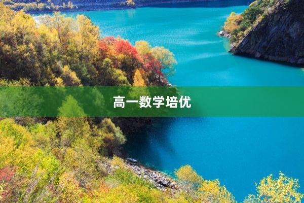 高一数学培优