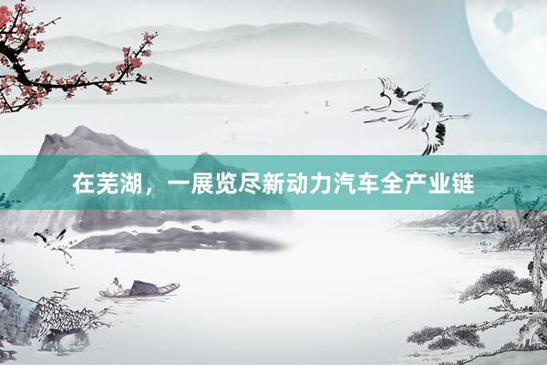 在芜湖，一展览尽新动力汽车全产业链