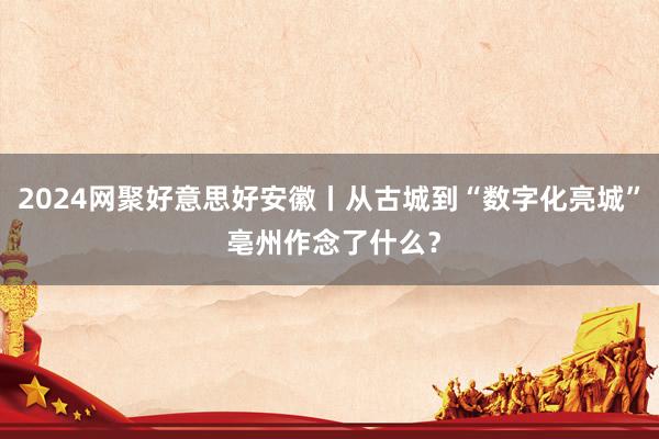 2024网聚好意思好安徽丨从古城到“数字化亮城” 亳州作念了什么？