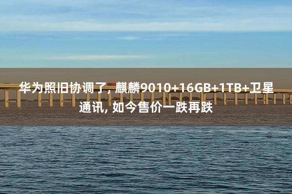 华为照旧协调了, 麒麟9010+16GB+1TB+卫星通讯, 如今售价一跌再跌