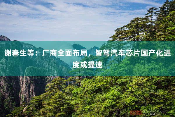 谢春生等：厂商全面布局，智驾汽车芯片国产化进度或提速