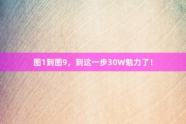 图1到图9，到这一步30W勉力了！