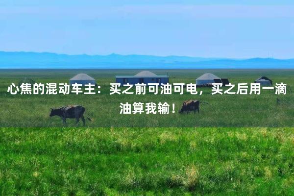 心焦的混动车主：买之前可油可电，买之后用一滴油算我输！
