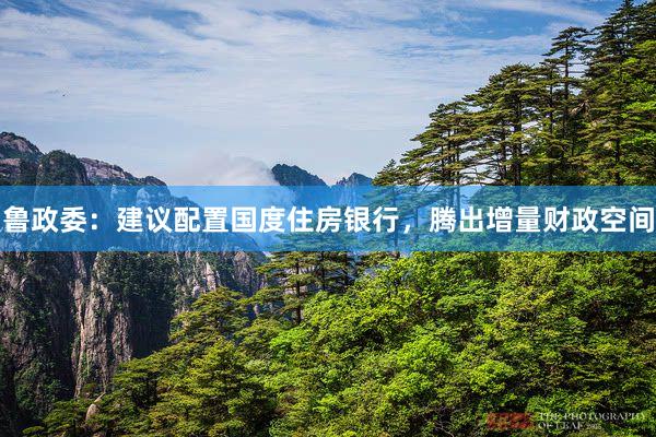 鲁政委：建议配置国度住房银行，腾出增量财政空间
