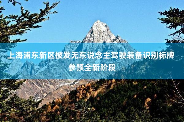 上海浦东新区披发无东说念主驾驶装备识别标牌 参预全新阶段